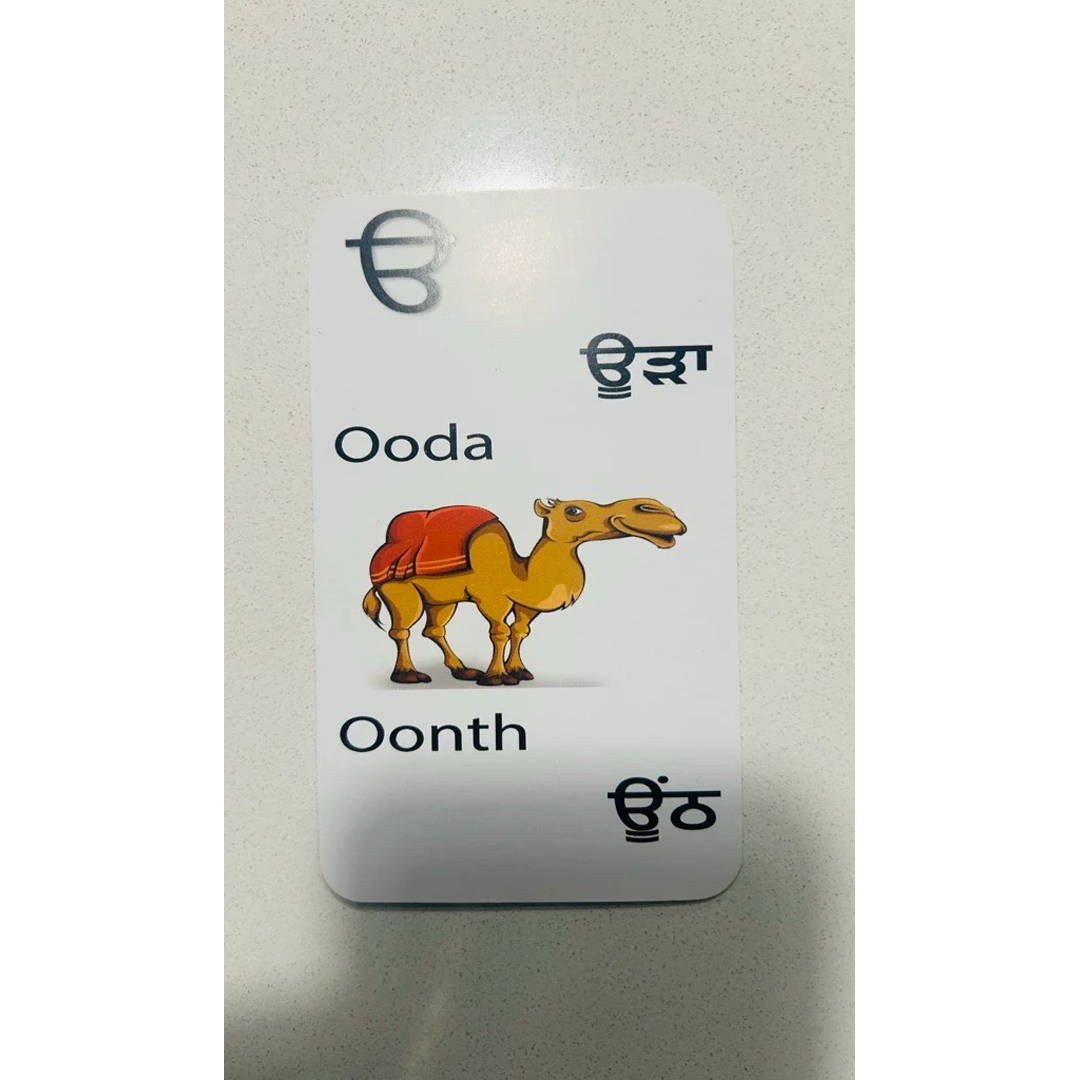 Learn to Read Punjabi - Flashcards (Age 3+, perfect for all ages).