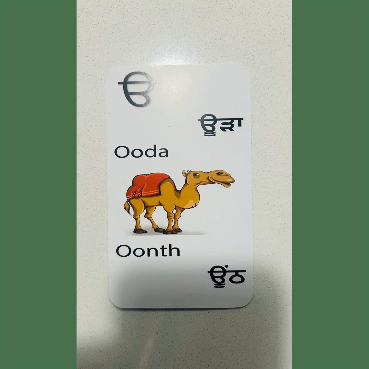 Learn to Read Punjabi - Flashcards (Age 3+, perfect for all ages).